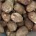《山东8520芋头》产地批发芋头一手货源，货源充足品质优良。