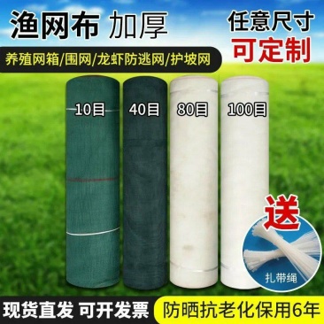 渔网网布围网养殖网青蛙牛蛙泥鳅黄鳝养殖围网网布