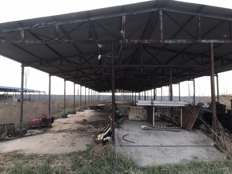养殖场转让养牛羊均可，13000平米加青储池
