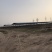 养殖场转让养牛羊均可，13000平米加青储池