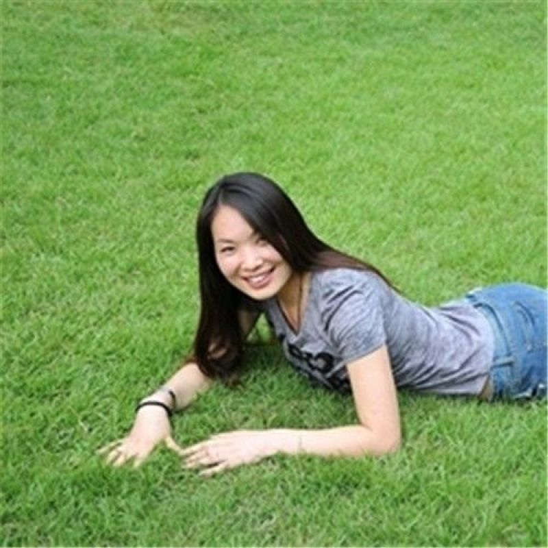 矮生早熟禾种子包衣净子庭院绿化别墅护坡草籽种籽耐寒草种批