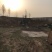 养殖场转让养牛羊均可，13000平米加青储池