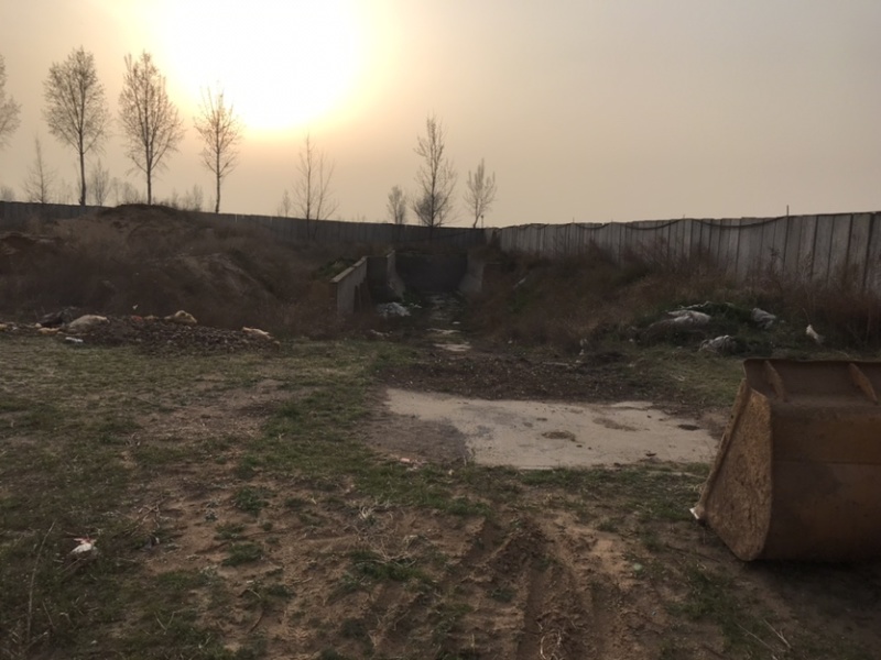 养殖场转让养牛羊均可，13000平米加青储池
