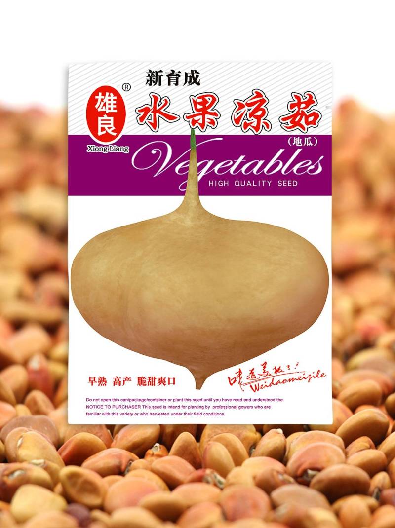四川牧马山凉茹凉薯种子水果白（地瓜）新育成水果早熟脆甜