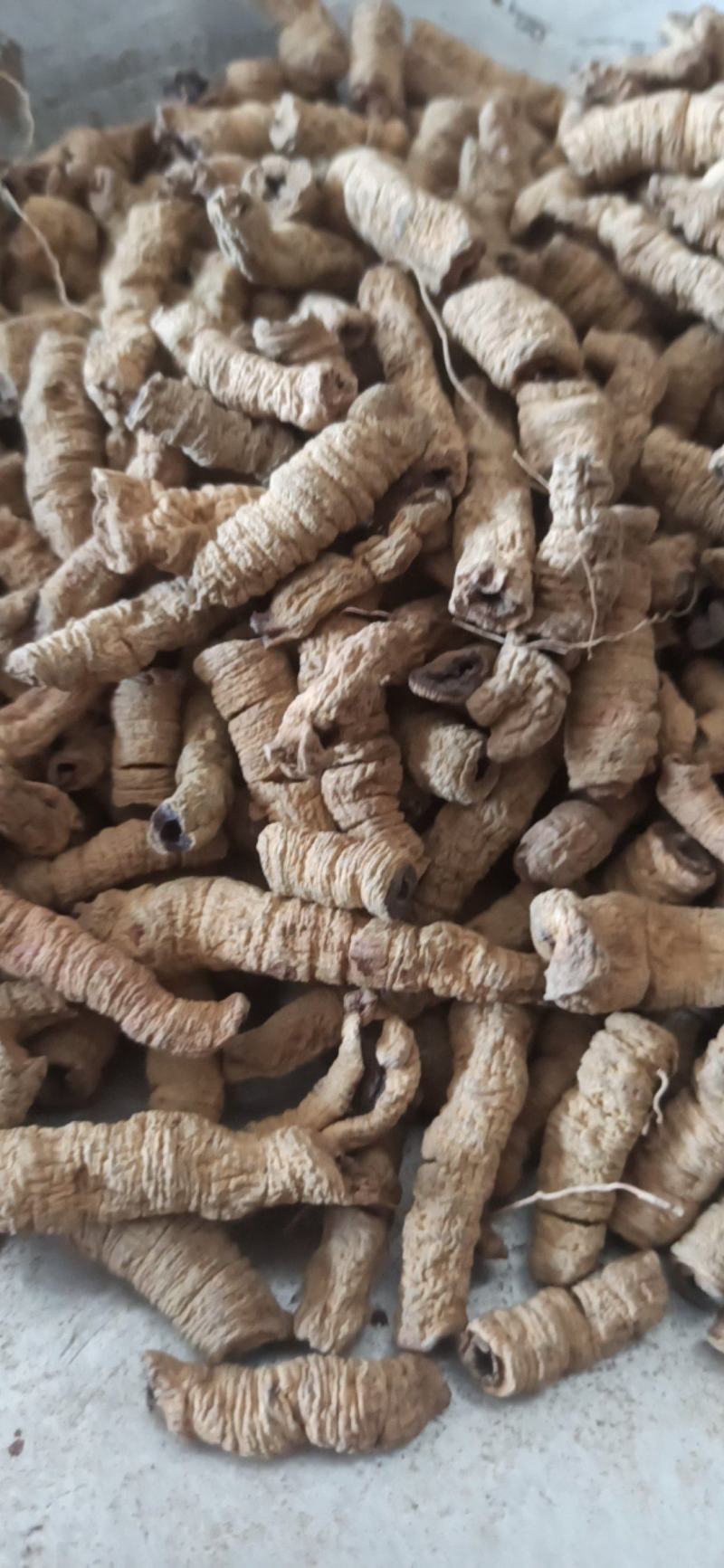 巴戟巴戟肉可泡酒中药材批发巴戟各种规格质量保证