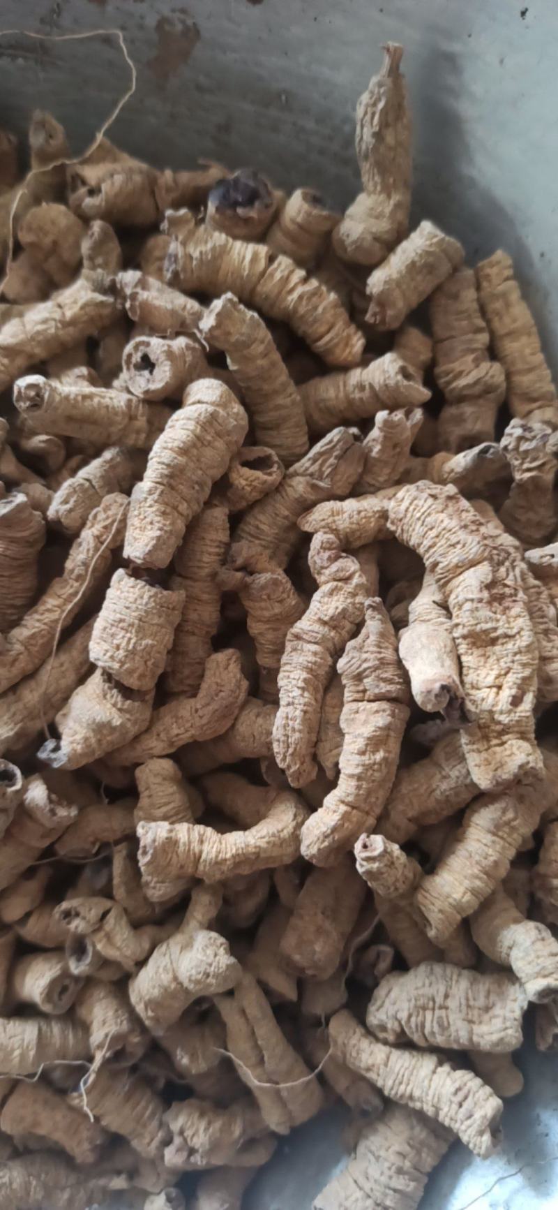 巴戟巴戟肉可泡酒中药材批发巴戟各种规格质量保证