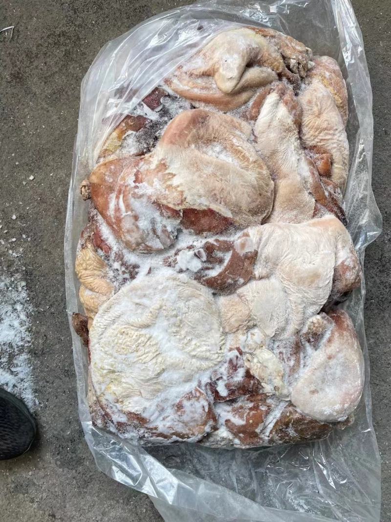 驴肚马肚颜色鲜质量优量大优惠全程冷链运输可快递欢迎选购