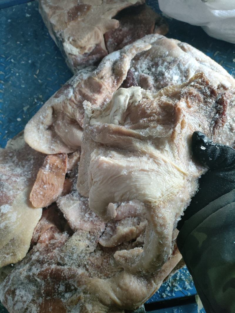 驴肚马肚颜色鲜质量优量大优惠全程冷链运输可快递欢迎选购