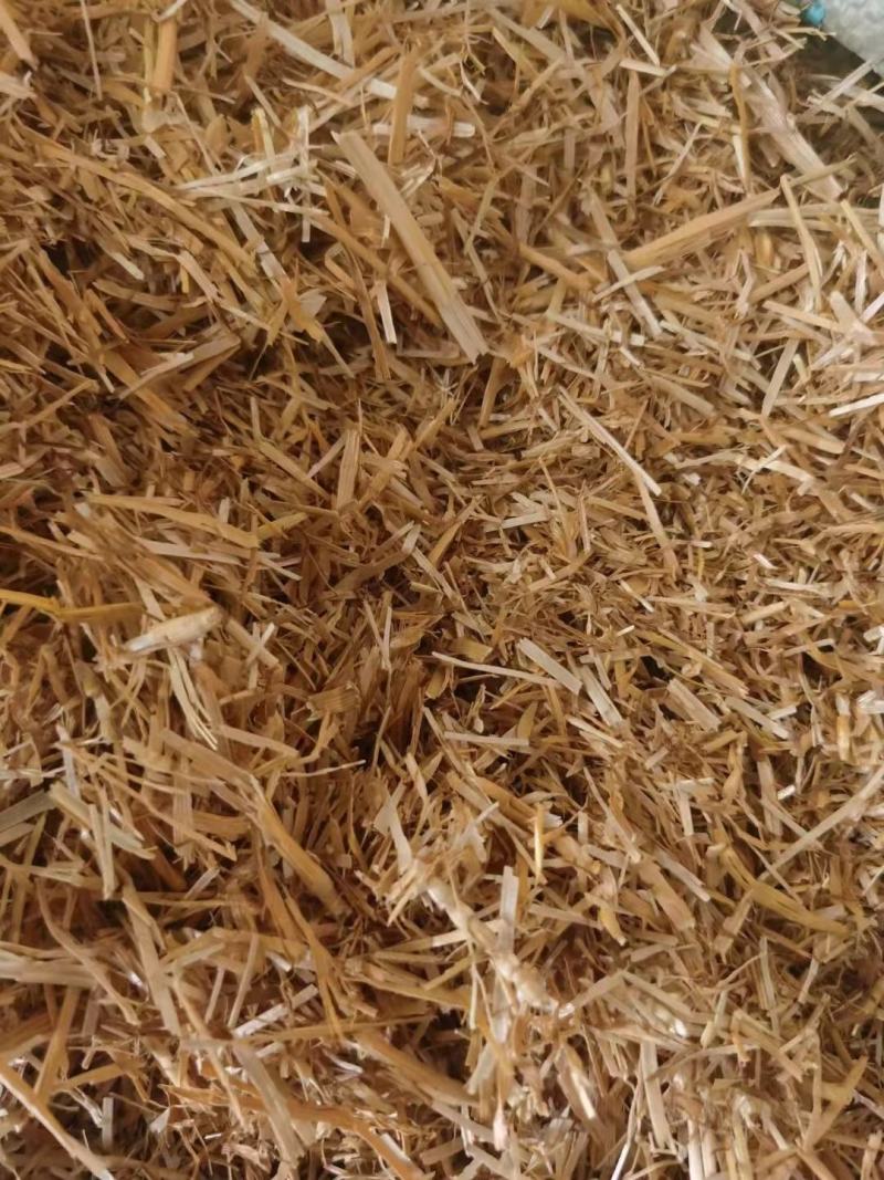 牛羊饲料麦草秸秆，柔丝除尘麦草大量出售！欢迎实力老板签单