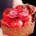 【包邮-20斤普罗旺斯西红柿】热销5斤20斤番茄西红柿