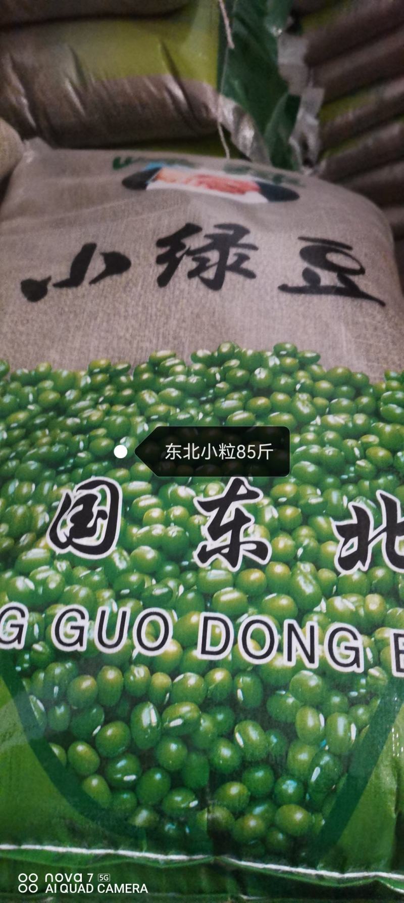 芽豆国产东北明绿豆芽豆中粒黑龙江绿豆发芽率高