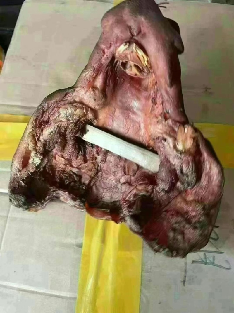农家烟熏猪拱嘴（颜色，味道，度都非常好）