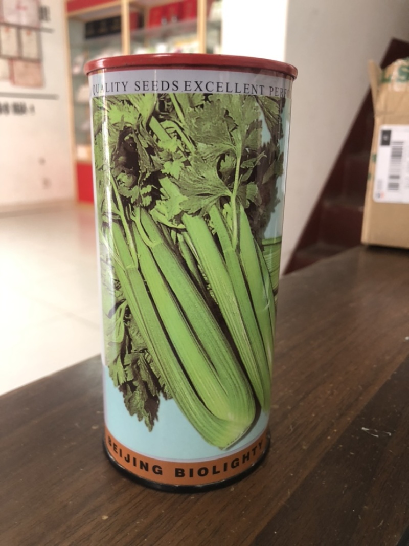 芹菜种子进口文图拉西芹种子中早熟芹菜种子