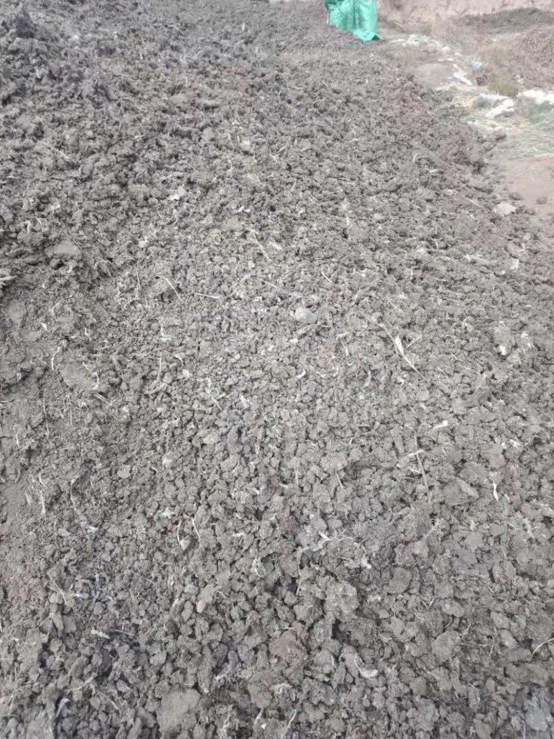 动物粪便有机肥蚯蚓粪牛粪喂养蚯蚓粪育苗肥土基地用肥