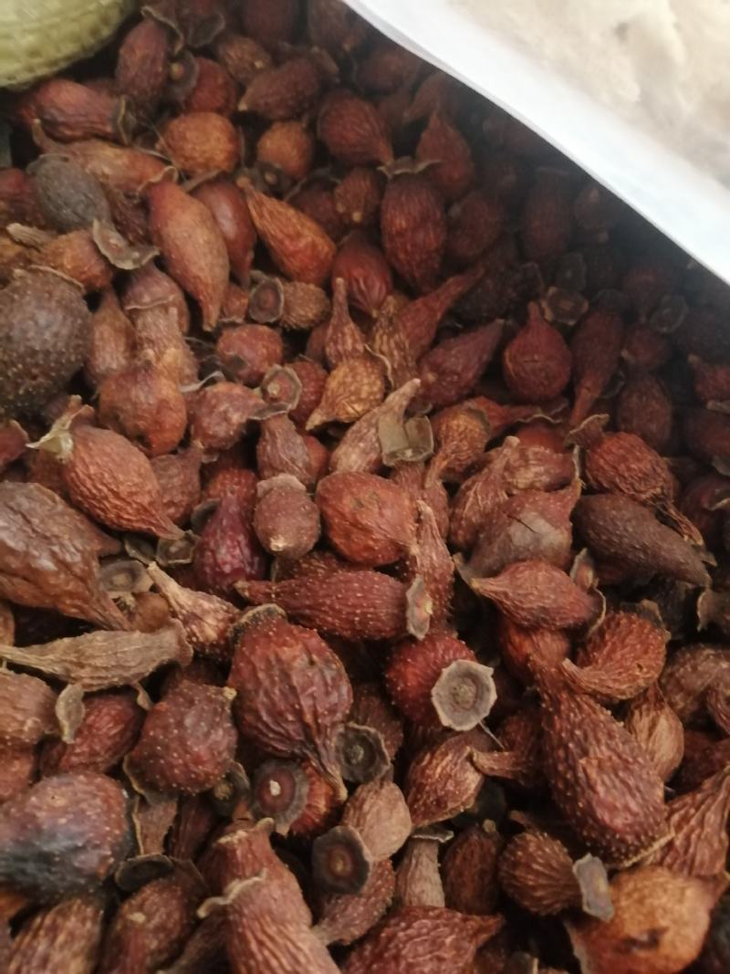金樱子金樱子肉泡酒料新货批发零售