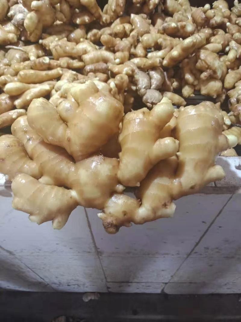 生姜产地批发一手货源，货源充足品质优良，支持全国各地发货