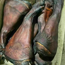 【腊肉】精品烟熏腊猪脚，适合门市，汤锅，摆摊，展会等