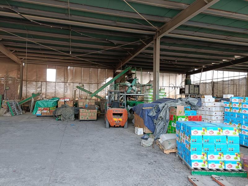 新疆吐鲁番发货电商平台专用葡萄干质量保证