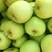 优质青苹果，果大，口感脆甜，现摘现发，面向全国发货