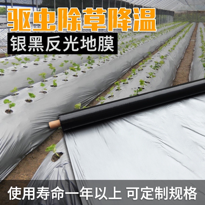 寿光地膜打孔地膜银黑打孔地膜黑色打孔地膜针眼打孔地膜