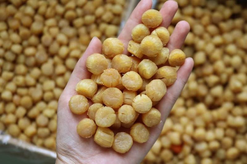 广州人B厂300头大连元贝干贝瑶柱特级货金黄一件代发批发