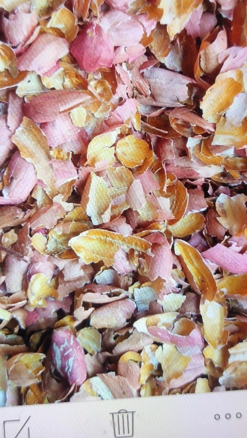 山东精品菜籽饼，量大价优，产地直供，欢迎选购