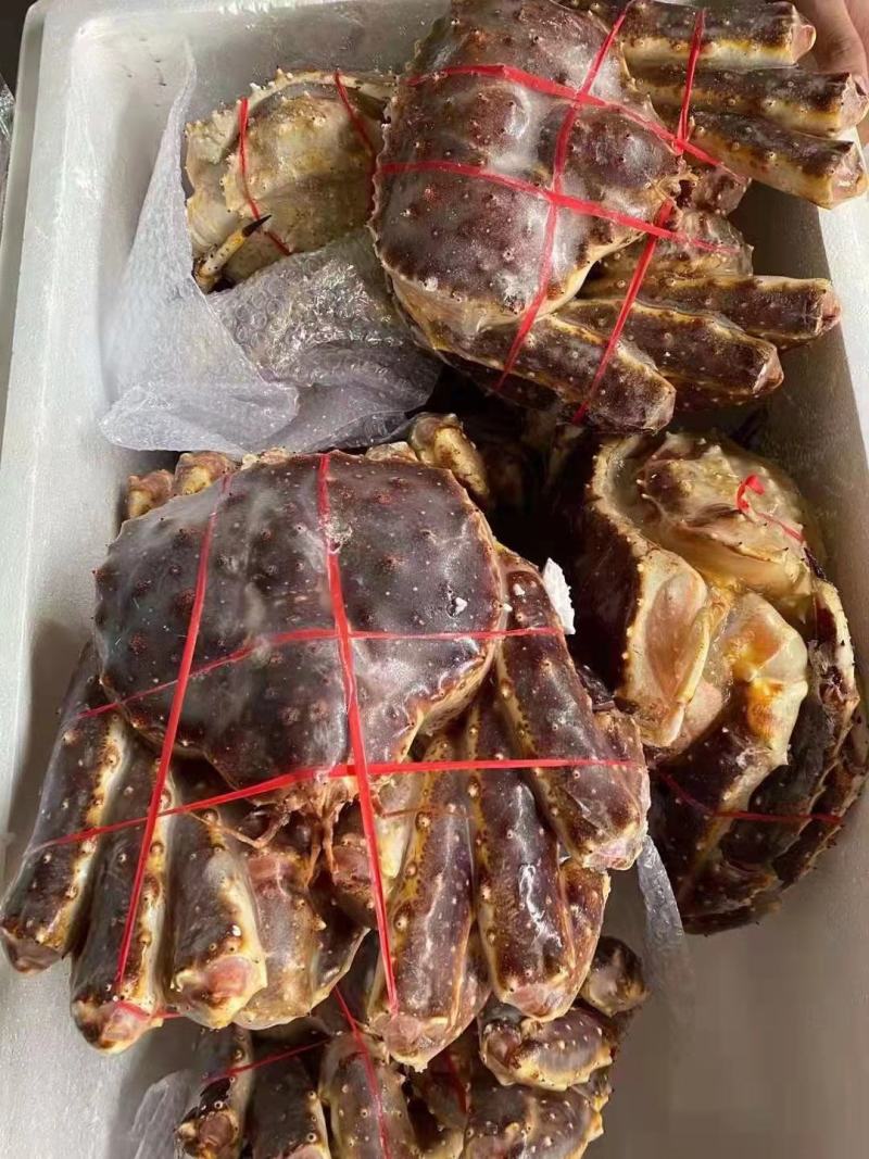 鲜冻帝王蟹，质量保证，一手货源，欢迎广大老板来洽谈合作。