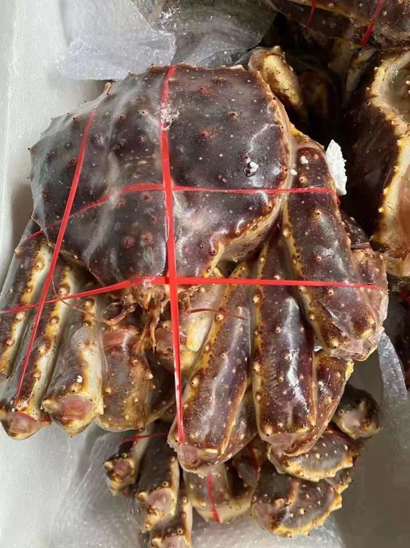 鲜冻帝王蟹，质量保证，一手货源，欢迎广大老板来洽谈合作。
