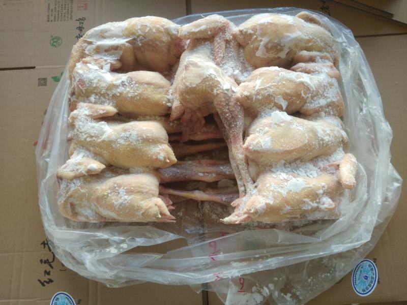 裕邦老母鸡，鸡胸背