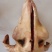 纯正火烧羊蹄子，免洗可直接下锅的，不含有任何添加剂化学试