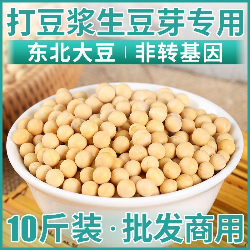 东北黑龙江黄豆农家自产大黄豆五谷杂粮豆类豆浆生豆芽黄黄豆