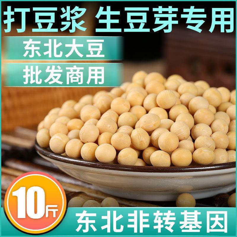 东北黑龙江黄豆农家自产大黄豆五谷杂粮豆类豆浆生豆芽黄黄豆