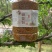 蜜蜂奶粉，花粉，木本茶花粉，***，无杂质，无粉末，