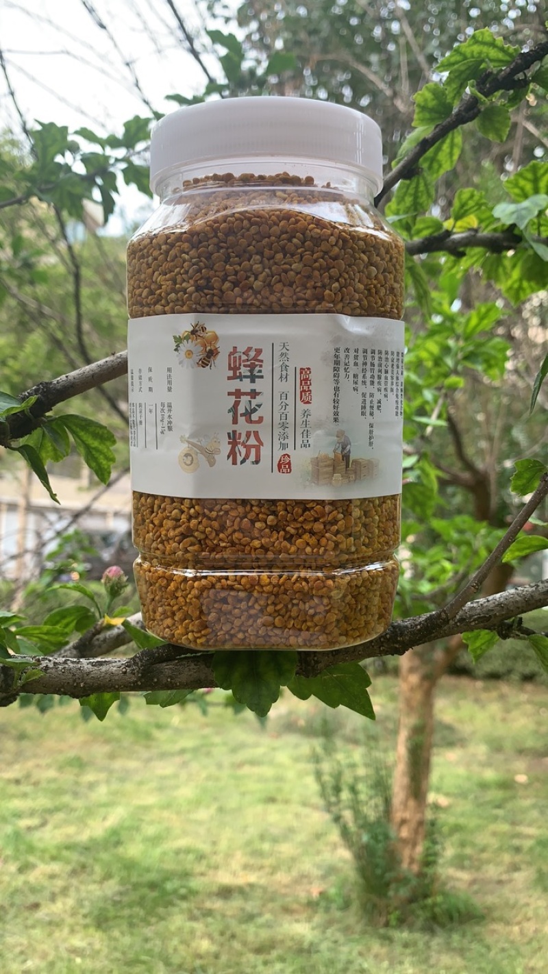 蜜蜂奶粉，花粉，木本茶花粉，***，无杂质，无粉末，