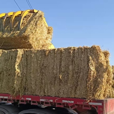稻草牛草，圆包解包分拣过后二次加压的大包，牛儿粗饲料