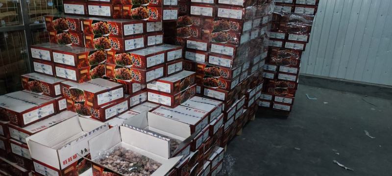 熟冻八爪鱼每件8斤去冰净出4斤好箱好货最新日期