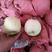 陕西蒲城冷库酥梨，价位便宜大量供应，口感脆甜，产地直发！
