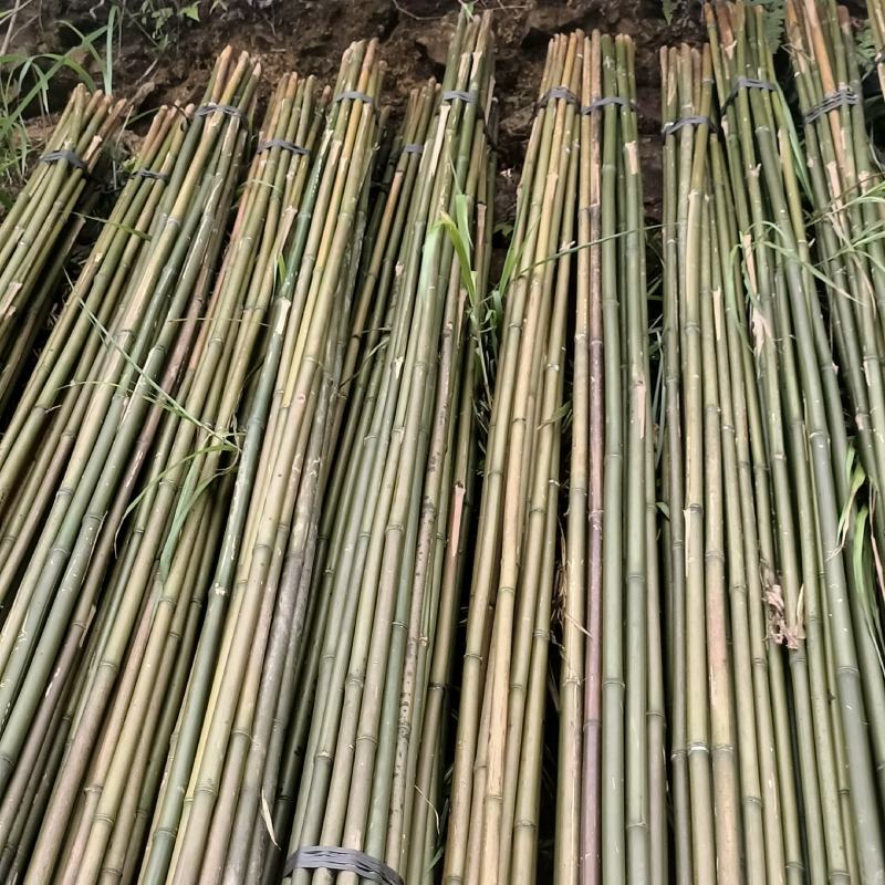 竹子竹竿干竹竿直供大棚冬瓜架可视频欢迎下单