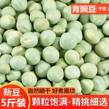 农家新货青豌豆干货生豌豆新干豌豆杂粮麦豆可食用可做芽菜半