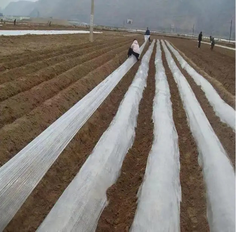 po二膜双防流滴二膜三防消雾流滴二膜大棚保温膜