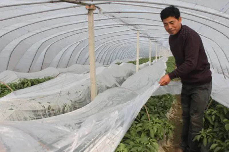 po二膜双防流滴二膜三防消雾流滴二膜大棚保温膜