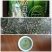 金秀大瑶山山咔咔石涯茶