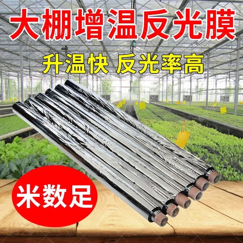 农用反光膜大棚补光膜草莓苹果大棚蔬菜反光膜