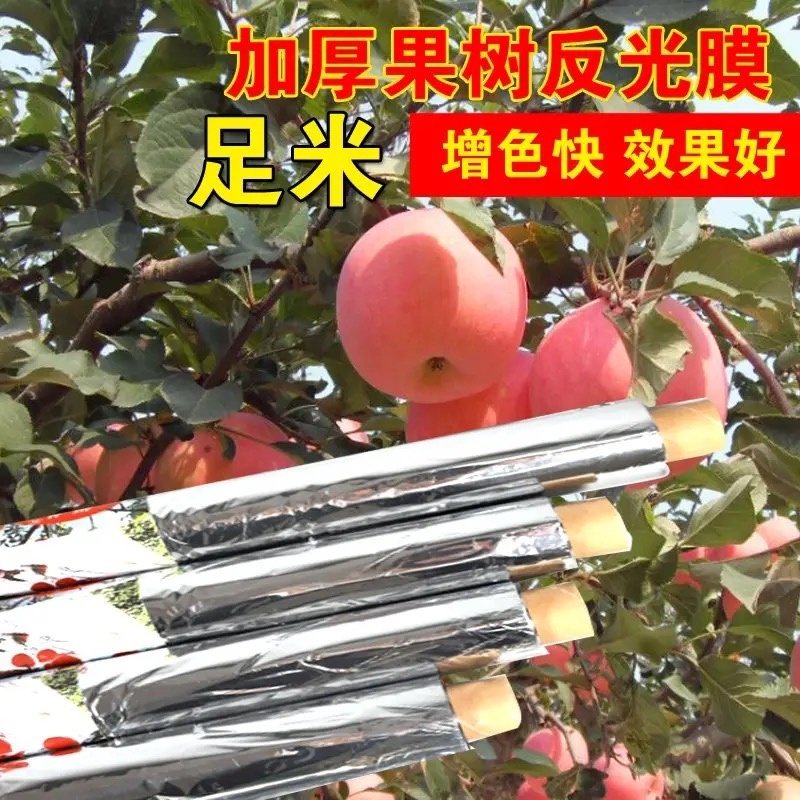 农用反光膜大棚补光膜草莓苹果大棚蔬菜反光膜