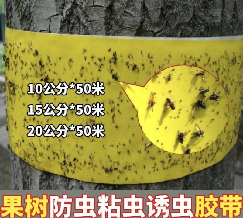 双面黄色粘虫带园林景观专用大棚白粉虱蓟马蓝色诱虫带