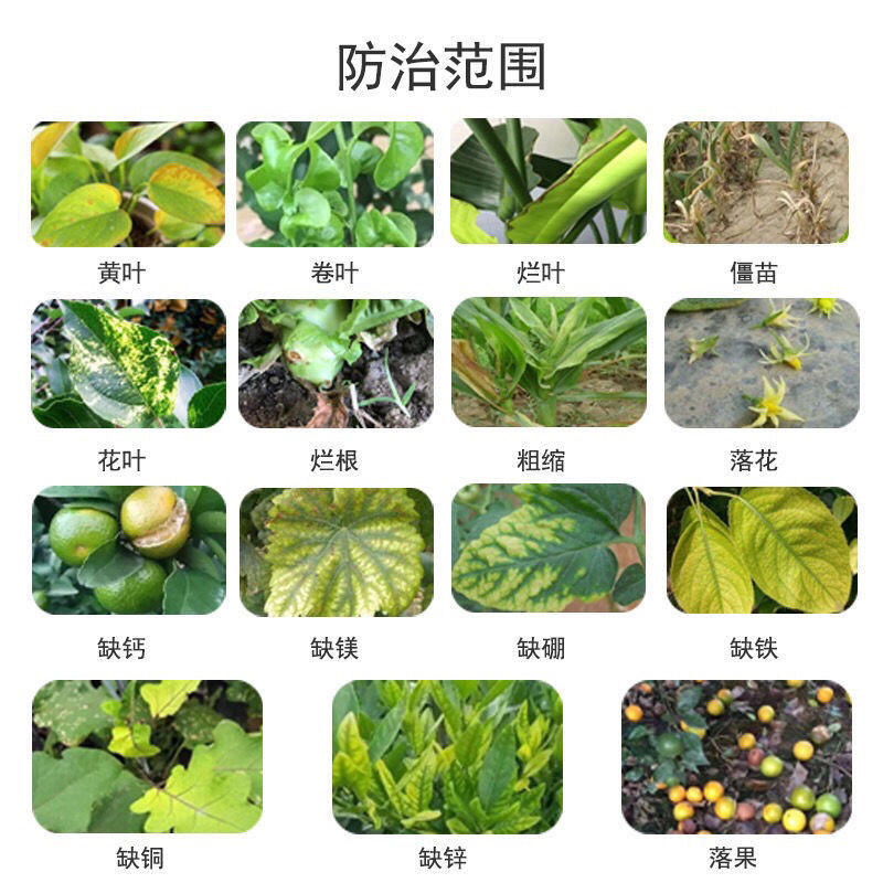 烂根黄叶黄化用枯黄无踪根腐病生根壮苗瓜果蔬菜通用型
