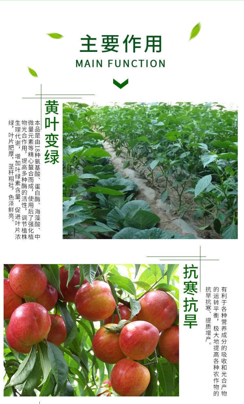 烂根黄叶黄化用枯黄无踪根腐病生根壮苗瓜果蔬菜通用型