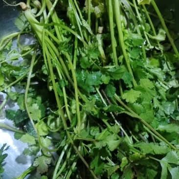 香莱