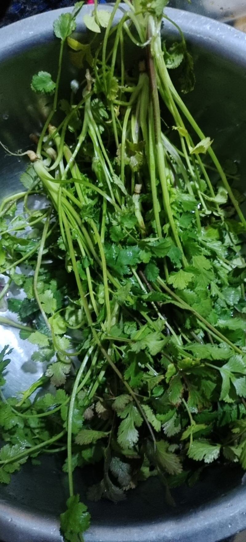 香莱