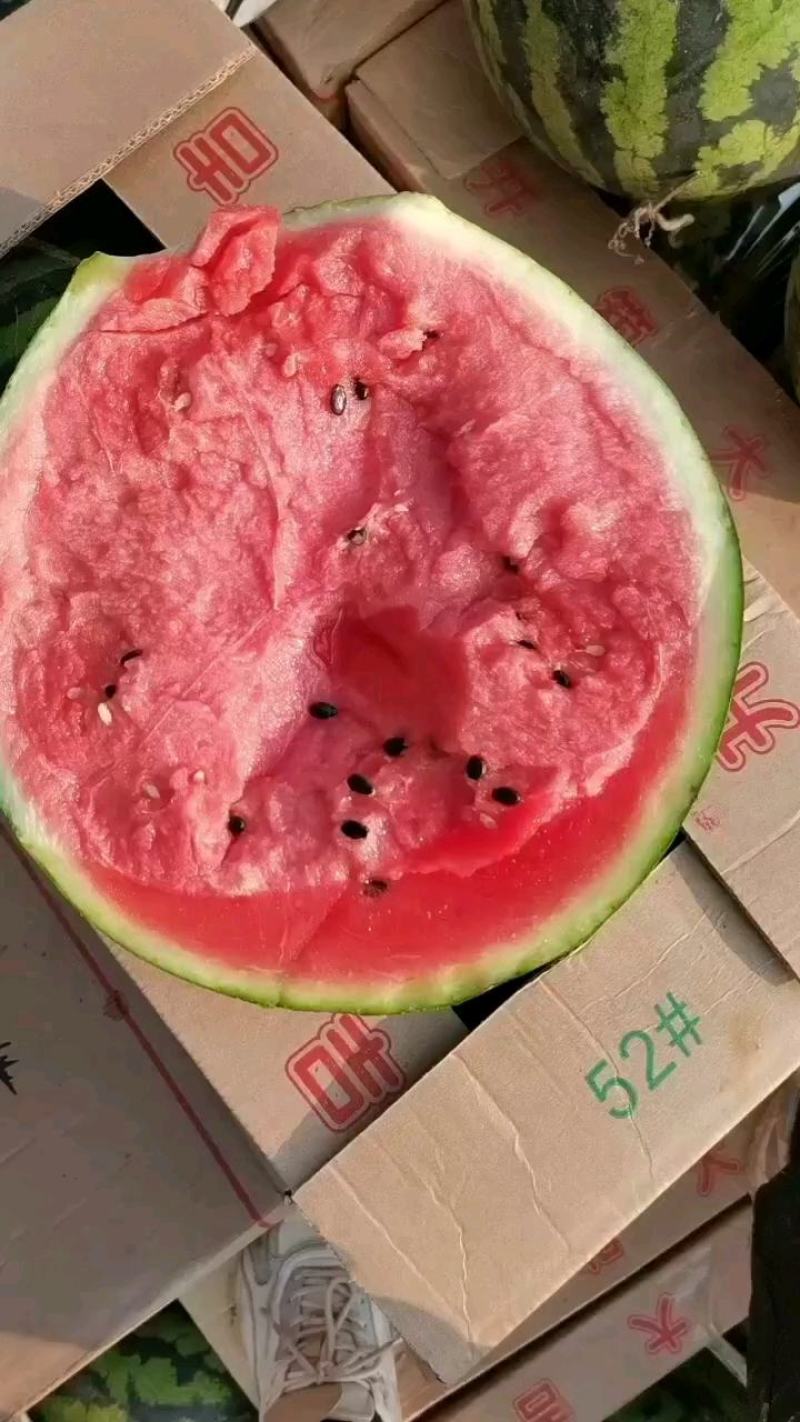 甜王西瓜，麒麟西瓜，大量供应，产地一手货源，质量保证